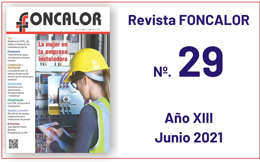 Revista 29