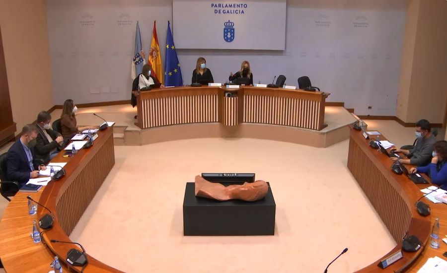 Sesión Comisión 6ª Parlamento de Galicia