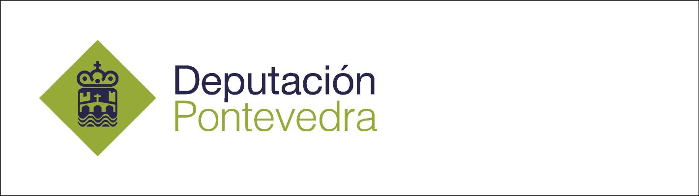 Curso Subvencionado por la Diputacion de Pontevedra